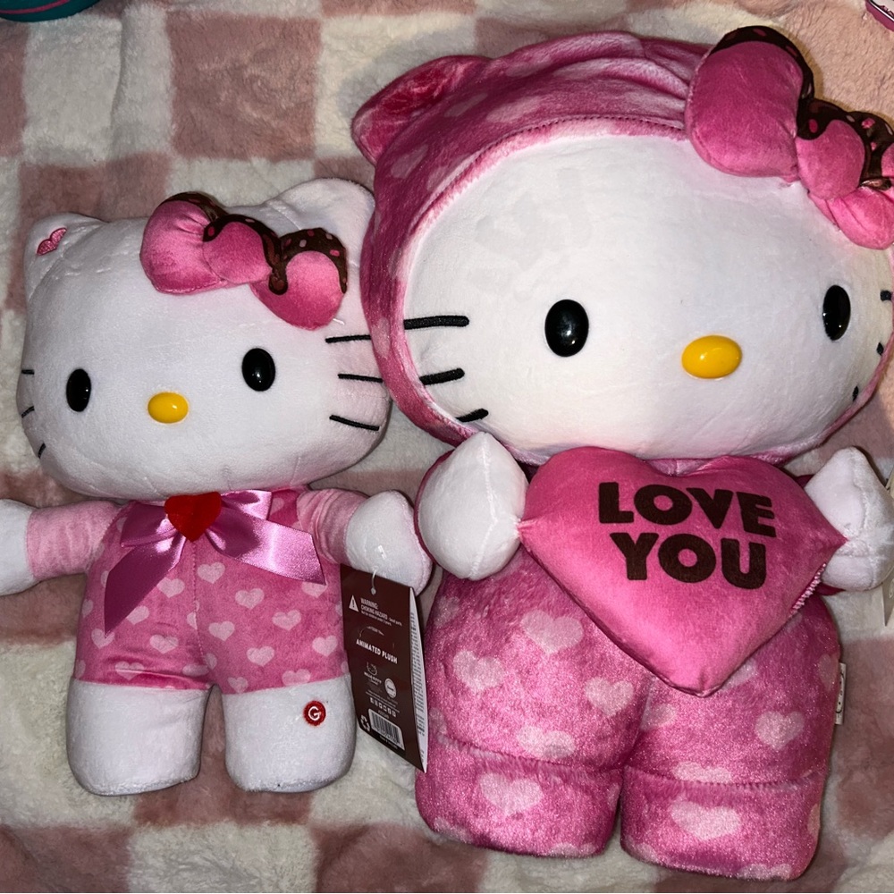 Hello Kitty Valentines Greeter Bundle